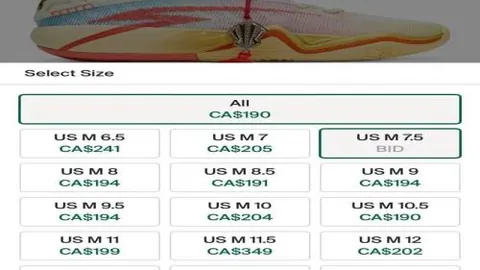 勒布朗与浓眉彰显夺冠雄心，期待共享冠军荣耀巡游欢愉
