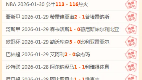 維納爾杜姆：全能足球巨星深度剖析