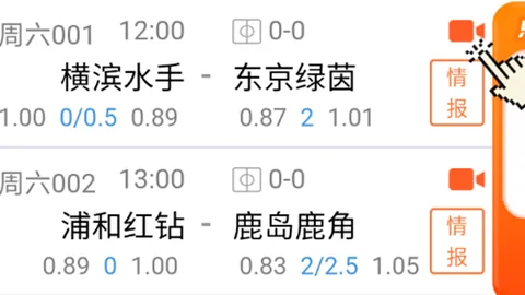 大乐透期号专家质合分析：魔术附加赛位置预测